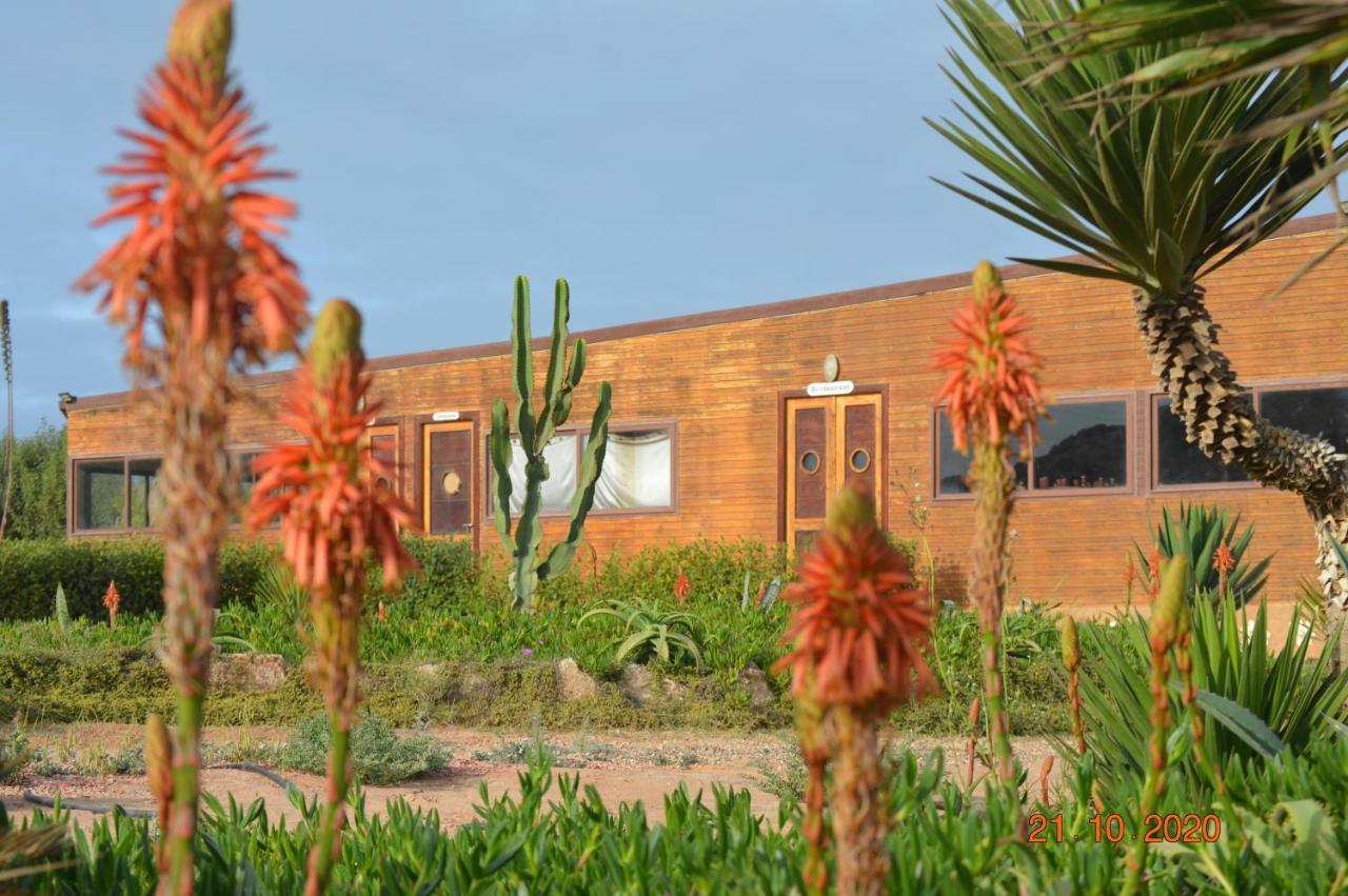 Dakhla Kitesurf World Hotel Kültér fotó