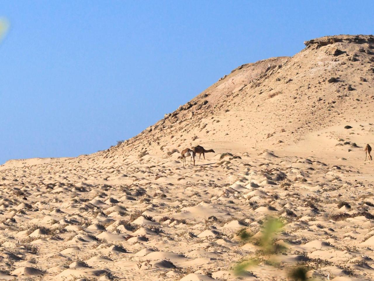 Dakhla Kitesurf World Hotel Kültér fotó